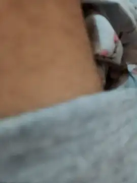 riggijaviersalas online show from 11/14/25, 01:15