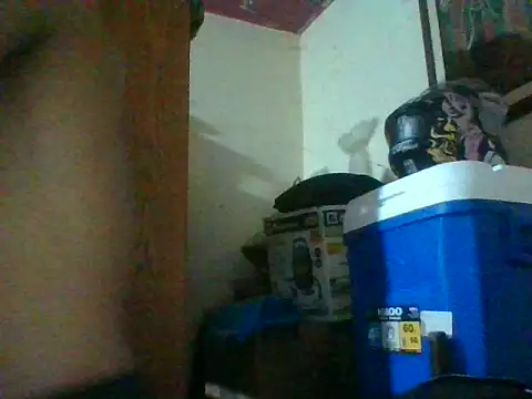 Elxdelvergon online show from 07/18/26, 08:07