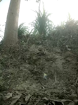 FinableKnee online show from 10/15/25, 04:01