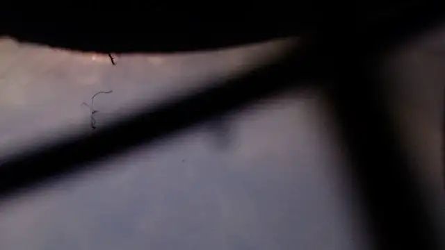 Snapshot of Cordt27 chatting on 02/12/26, 04:02 Cordt27 online show from 02/12/26, 04:02