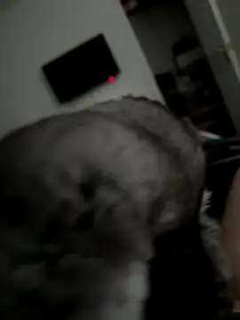 Furdale online show from 10/02/25, 03:30