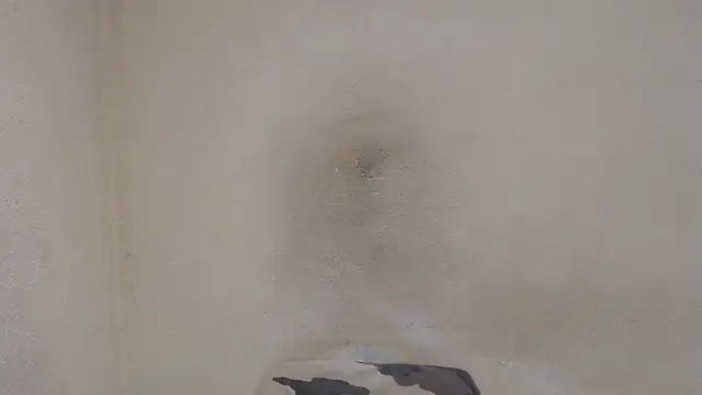 AlexNudo online show from 12/31/24, 12:46