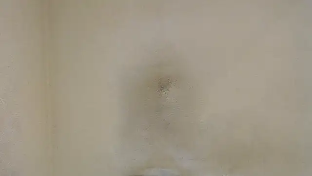 AlexNudo online show from 01/30/25, 04:45