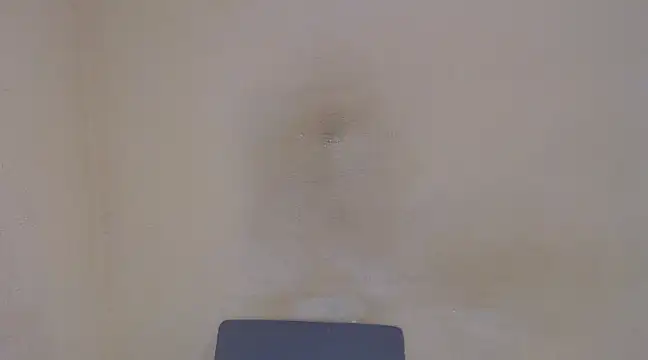 AlexNudo online show from 02/05/25, 04:58
