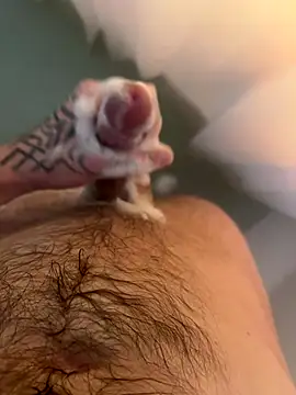 Snapshot of ThatTattooedGuy chatting on 11/19/25, 04:56 ThatTattooedGuy online show from 11/19/25, 04:56