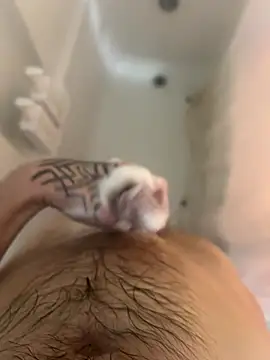 Snapshot of ThatTattooedGuy chatting on 12/01/25, 08:52 ThatTattooedGuy online show from 12/01/25, 08:52