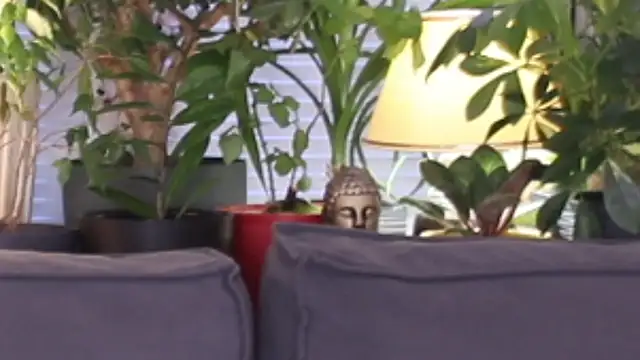 Snapshot of Lily_minx chatting on 11/13/25, 03:38 Lily minx online show from 11/13/25, 03:38