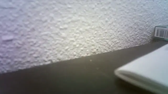 Snapshot of pau65vb chatting on 11/19/25, 08:03 pau65vb online show from 11/19/25, 08:03