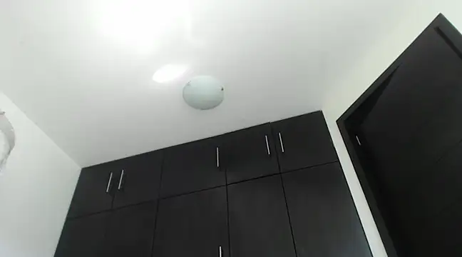 Snapshot of Mysteriousexy chatting on 01/30/25, 05:28 Mysteriousexy online show from 01/30/25, 05:28