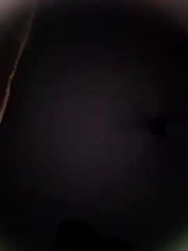 Pitercom online show from 10/19/25, 09:04