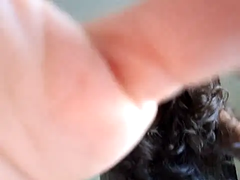 Snapshot of Abysparadise chatting on 11/11/25, 05:46 Abysparadise online show from 11/11/25, 05:46