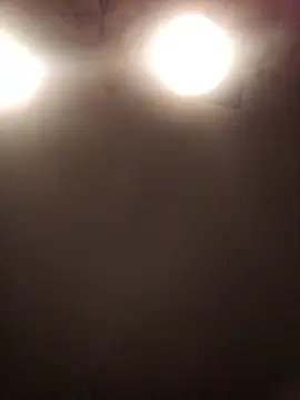 Snapshot of lilianashemale chatting on 11/01/25, 03:08 lilianashemale online show from 11/01/25, 03:08