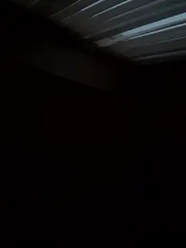 Flossy Vettie online show from 11/25/25, 02:39