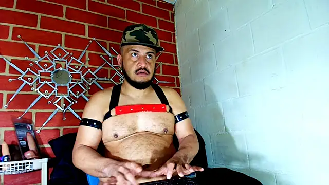 the master foal  online show from 11/19/25, 03:01