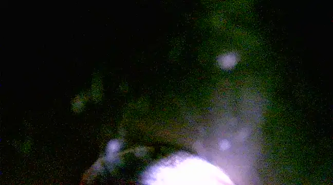 h0ney lips online show from 03/01/25, 01:18
