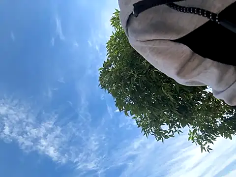 kingdennis6666 online show from 09/17/25, 07:26