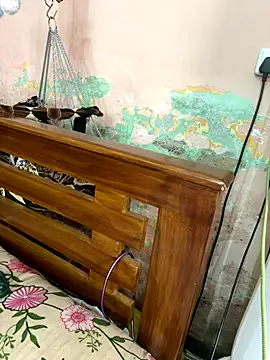 falooda288 online show from 10/28/25, 08:40