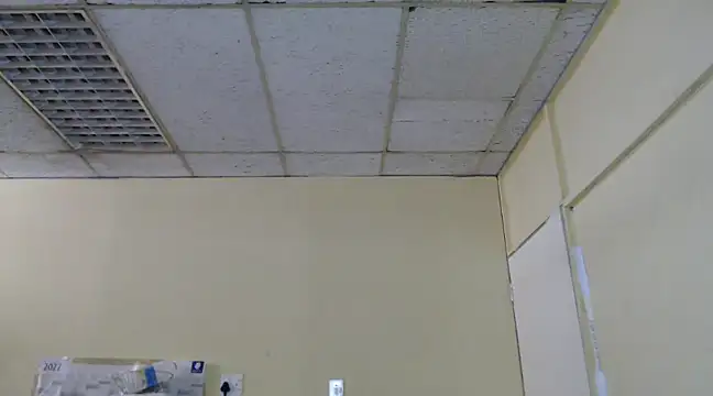 Mydreamgirrl online show from 02/13/25, 11:06