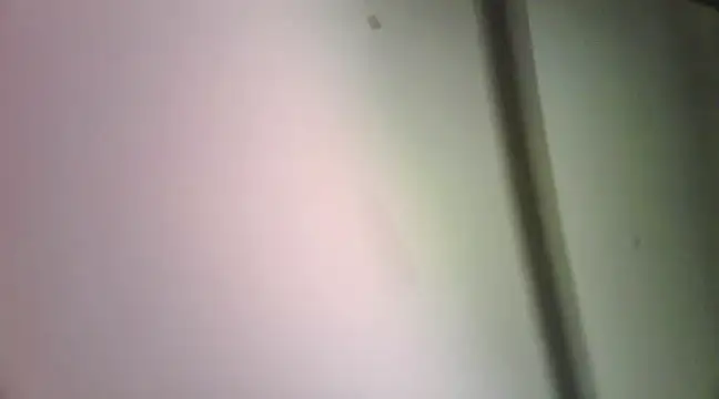 Snapshot of sura11311 chatting on 02/15/25, 08:00 sura11311 online show from 02/15/25, 08:00