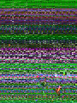 Sarita-candy online show from 07/23/26, 11:35