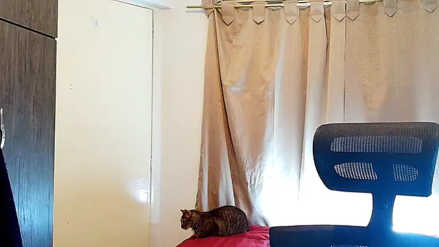 jimmy class online show from 12/05/25, 03:09