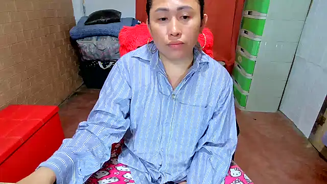 M e c e l online show from 12/01/25, 11:37