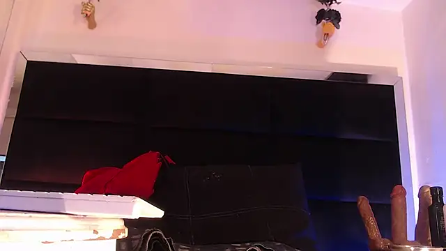 StefyFerrer online show from 07/12/26, 03:41