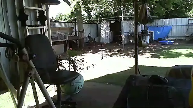 Snapshot of herbie010666 chatting on 12/22/24, 06:06 herbie010666 online show from 12/22/24, 06:06