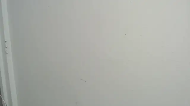 amy le01 online show from 02/18/25, 04:37