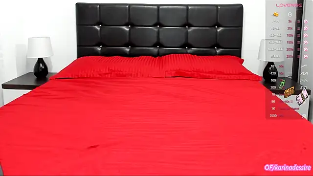 Snapshot of karinamadnessdesiree chatting on 01/11/25, 01:11 karinamadnessdesiree online show from 01/11/25, 01:11