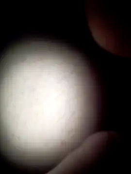 commonjust online show from 11/26/25, 05:19