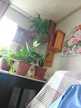 IrmaRose online show from 07/18/26, 05:55