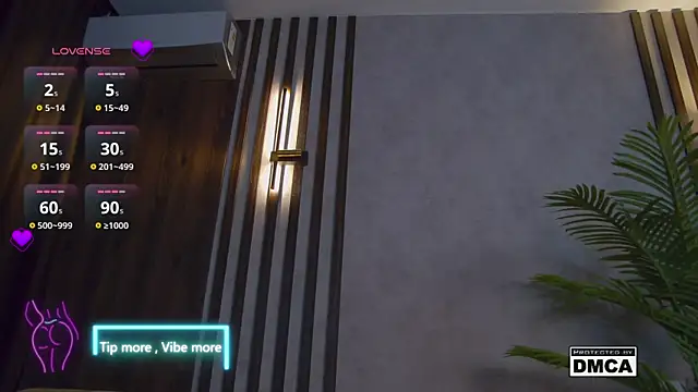 Snapshot of Holl1Would chatting on 02/02/25, 10:17 Holl1Would online show from 02/02/25, 10:17