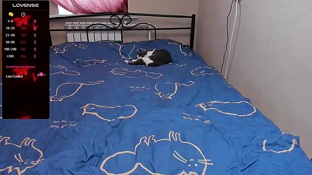 eva zero online show from 11/03/25, 11:33