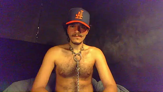 die mond online show from 03/17/26, 05:22