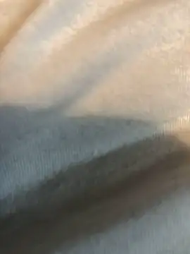 Hugetings online show from 01/24/25, 08:54