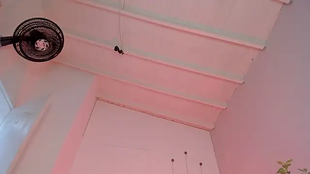 Snapshot of swt-booty chatting on 11/19/25, 06:52 swt-booty online show from 11/19/25, 06:52