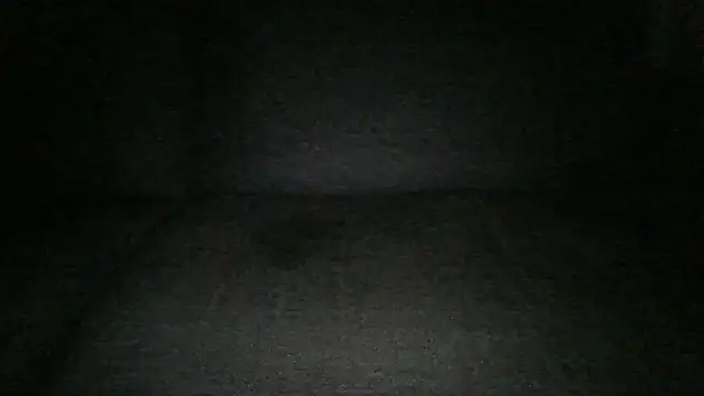 Anderrust online show from 01/19/25, 04:57