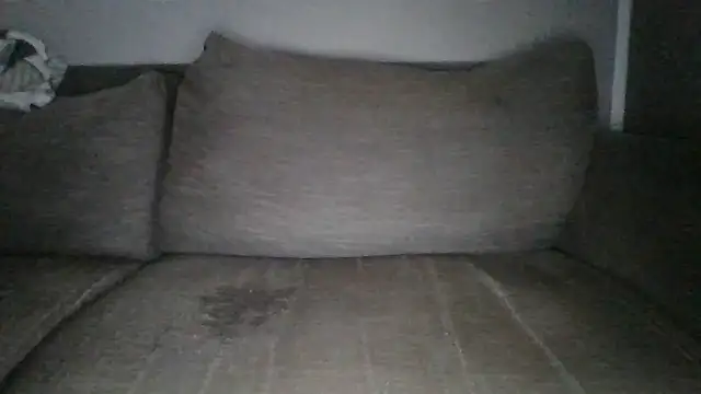 Anderrust online show from 02/01/25, 10:59