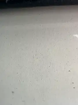 Snapshot of S2kicibey06 chatting on 02/07/25, 07:29 S2kicibey06 online show from 02/07/25, 07:29