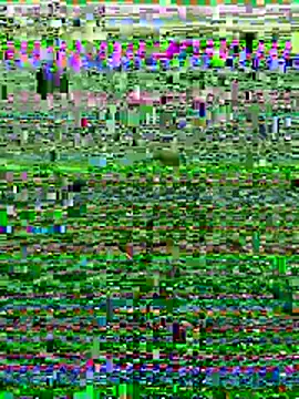 Wolfeman74 online show from 07/11/26, 06:54