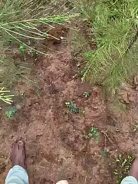 Snapshot of Gopal1243 chatting on 12/09/24, 03:29 Gopal1243 online show from 12/09/24, 03:29