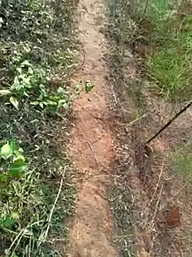 Snapshot of Gopal1243 chatting on 12/14/24, 02:01 Gopal1243 online show from 12/14/24, 02:01