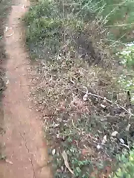 Snapshot of Gopal1243 chatting on 01/15/25, 02:27 Gopal1243 online show from 01/15/25, 02:27