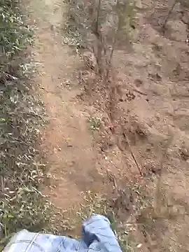 Snapshot of Gopal1243 chatting on 01/19/25, 01:53 Gopal1243 online show from 01/19/25, 01:53