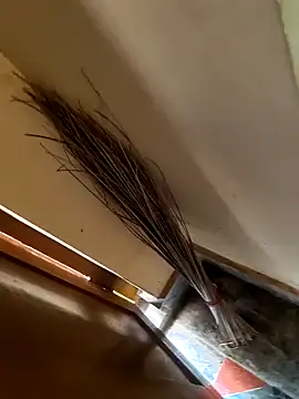 Snapshot of Gopal1243 chatting on 01/21/25, 03:37 Gopal1243 online show from 01/21/25, 03:37