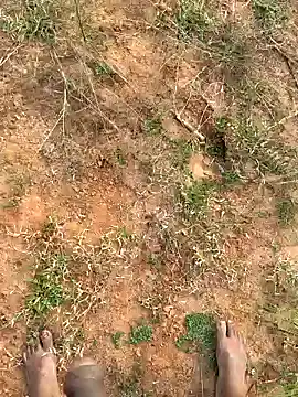 Snapshot of Gopal1243 chatting on 01/27/25, 02:31 Gopal1243 online show from 01/27/25, 02:31