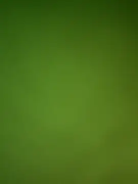 Snapshot of Gopal1243 chatting on 01/29/25, 09:12 Gopal1243 online show from 01/29/25, 09:12