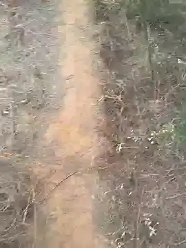 Snapshot of Gopal1243 chatting on 02/10/25, 02:08 Gopal1243 online show from 02/10/25, 02:08