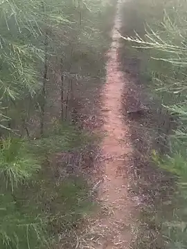 Snapshot of Gopal1243 chatting on 02/17/25, 01:47 Gopal1243 online show from 02/17/25, 01:47